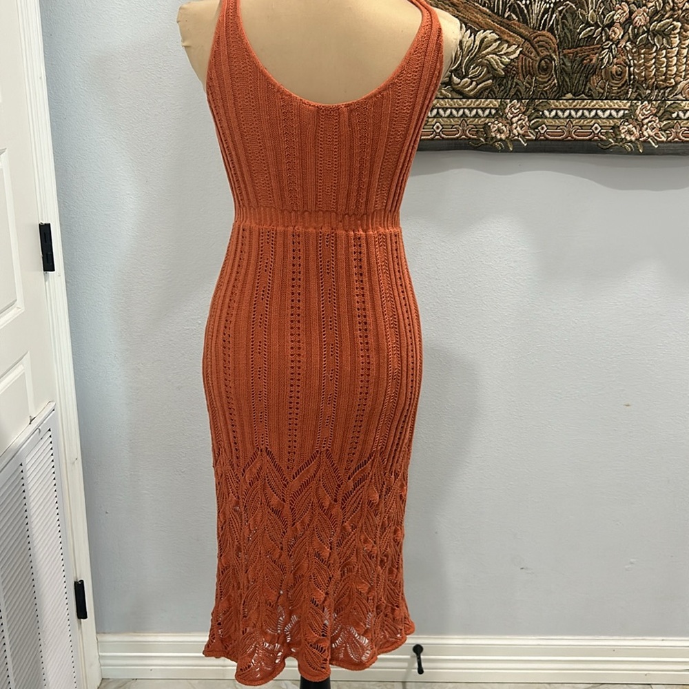 Petal & Pup Terracotta Midi Dress - Picture 7 of 14